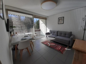 studio quartier calme centre ville vue mont Blanc